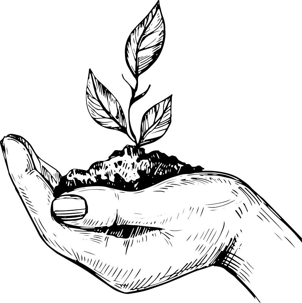business-growth-accounting_web